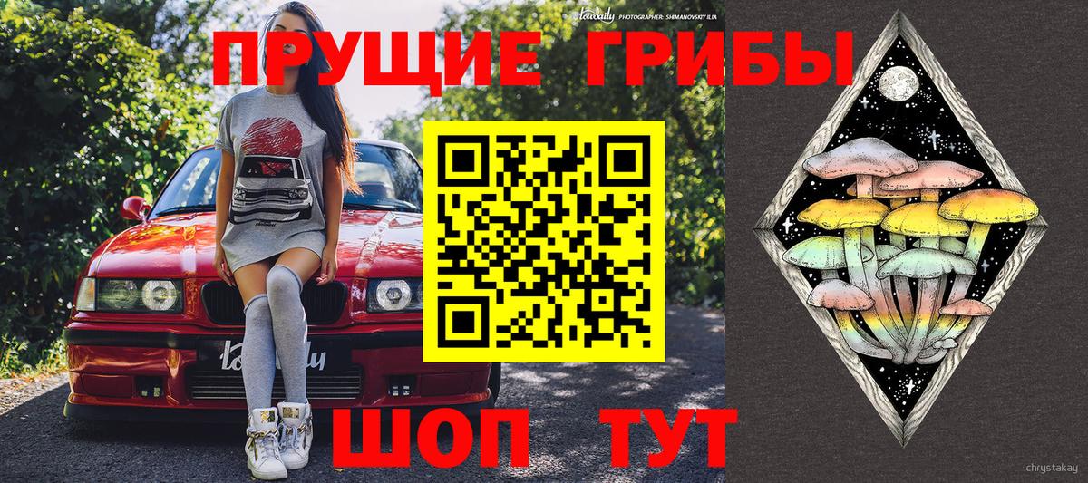 Псилоцибиновые грибы прущие грибы  Вход с VPN  Королёв 